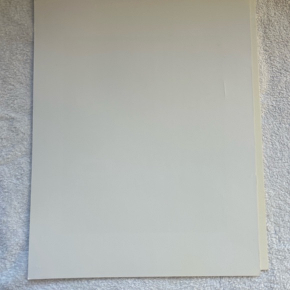 Henri Matisse Print Interior With A Violin Case 1996 MoMa 14” T X 11” W Orig pac - Picture 4 of 6